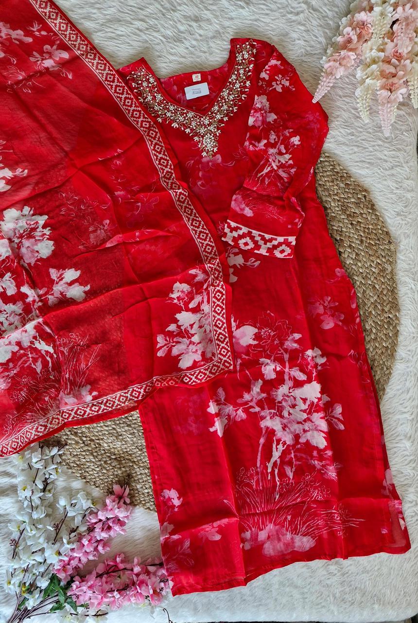 Pure Soft Organza Silk Handwork Dupatta Dress (Red)